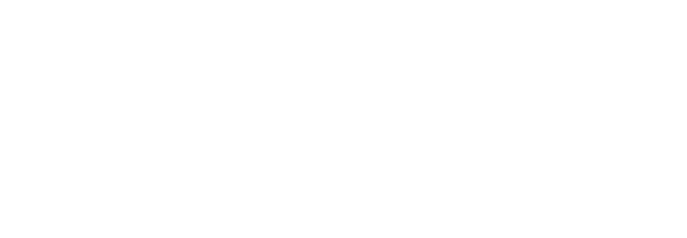 The Bug Detective